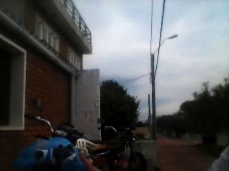 las abenturas de omega y dingo