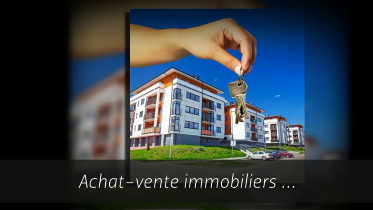 Droit immobilier Strasbourg -tel 03 88 35 35 00- Strasbourg Avocat Conseil et actes juridiques ENGEL
