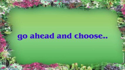 Easiest Online Degrees