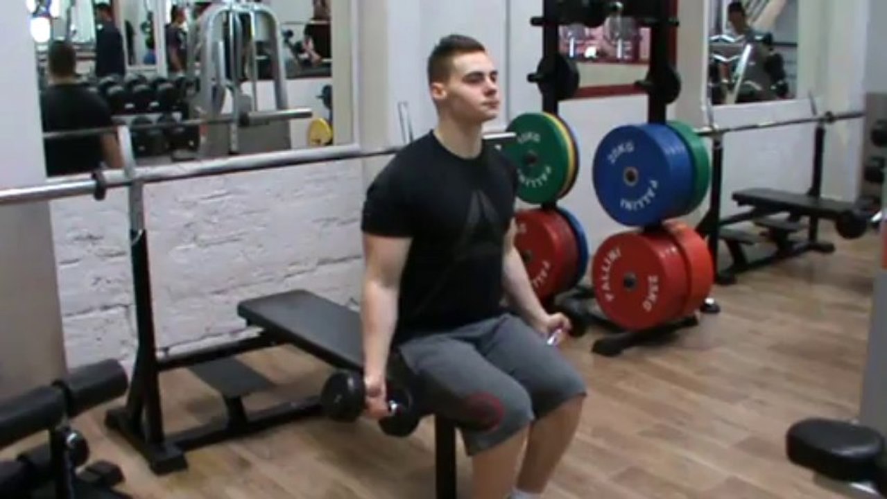 Biceps - curl aux haltères