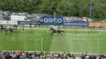 31.07.2013 Goodwood (GB) 3.Race Qipco Sussex Stakes 2013 - Group I 1.609 m
