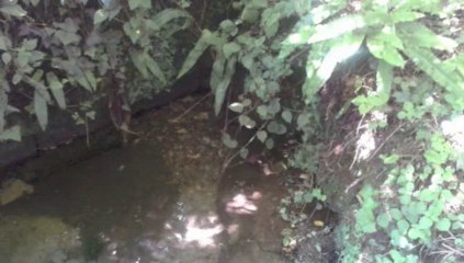 ANNONCE IMMOBILIER VENTE MAISON LOT- 46