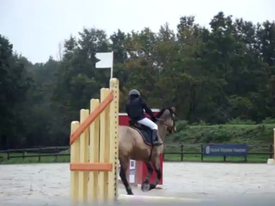 Concours CSO - 21 octobre 2012