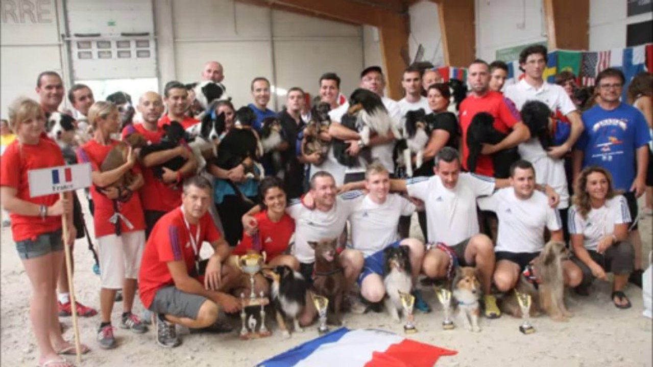 EO 2013 EPREUVES INDIVIDUEL MEDIUM