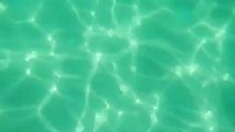 Underwater footage - Free HD stock footage