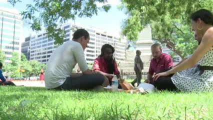 Growing food truck trend worries traditional restauranteurs