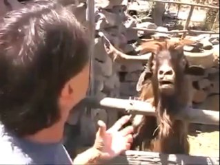 Bir Adamın Tüküren Keçiyle İmtihanı