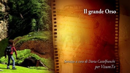 Il grande Orso nelle sale cinematografiche