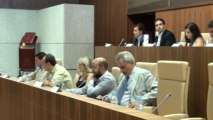 Pleno 25 julio de 2013 Ayuntamiento Leganés -Parte 1