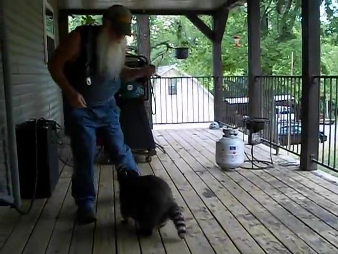 This guy is dancing with a racoon - The Hillbilly Slide And One Mad Coon Starring Your Favorite Coon
