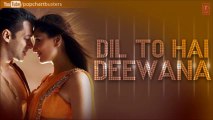 Na Ji Pyar Hua Nahin Full Song - Kavita Paudwal, Sonu Nigam - Dil To Hai Deewana