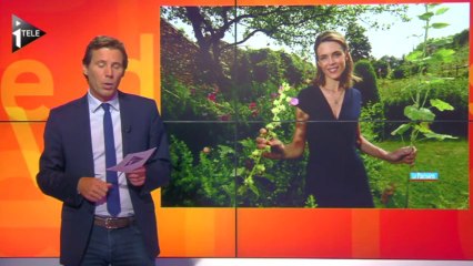 L'été des stars : Julie Andrieu