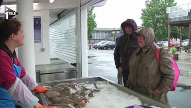Les phoques aussi profitent de la plage