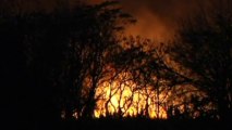 Argentina fire: Huge forest fire blazes in Buenos Aires