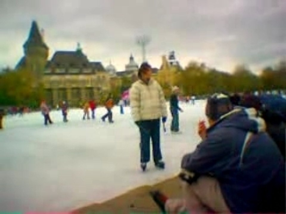 Skating IV.