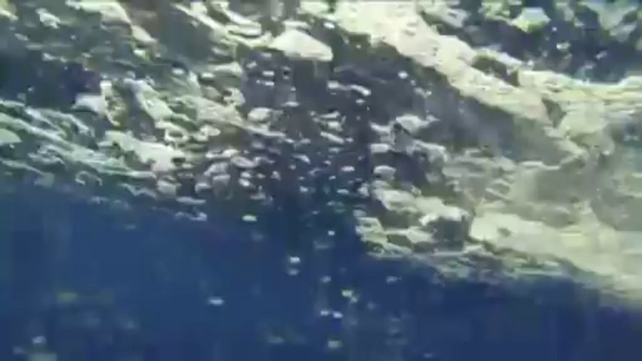 Des orques escortent un bateau de pêche près de Tahiti