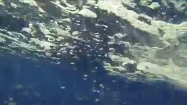 Des orques escortent un bateau de pêche près de Tahiti