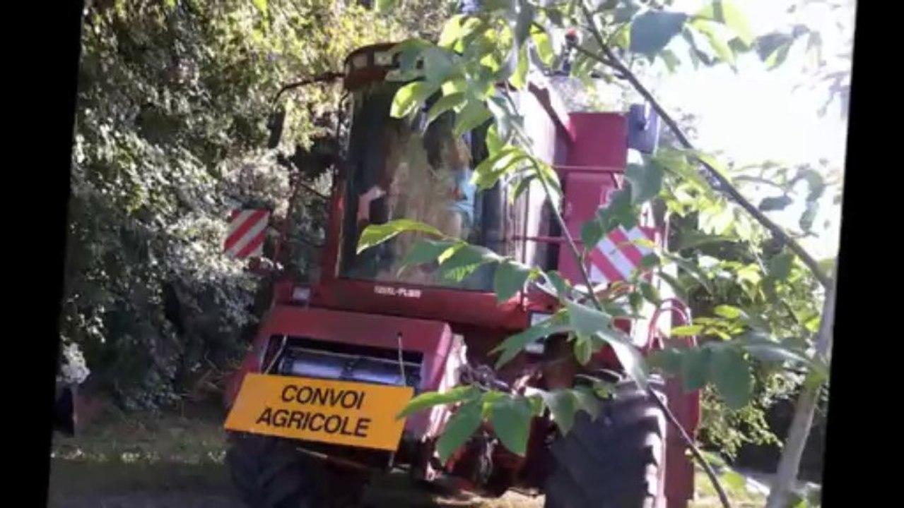 MOISSON CHEZ JEAN-FRANCOIS A LA MEMBROLLE SUR CHOISILLE