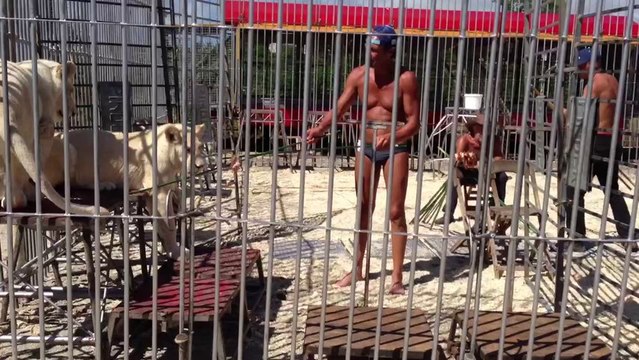 31 juillet au cirque pinder