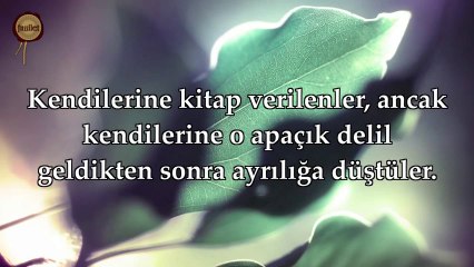 Beyyine Suresi, 1-8 [Nasser al Qatami]