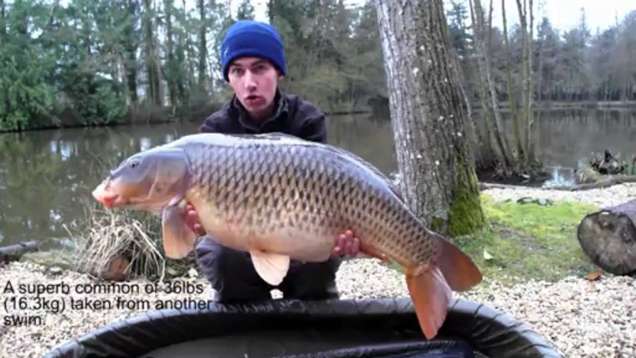 Carp fishing in France: Alexandre with a big common carp of 36lbs