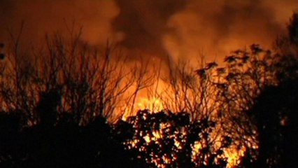 Un incendie dévaste une réserve écologique de Buenos Aires