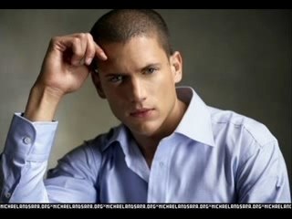 clip photos wentworth miller