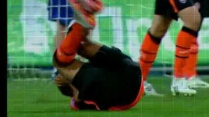 Истинное лицо кротов: что скрывается за их образом? 🐾