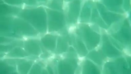 Underwater footage 5 - Free HD stock footage