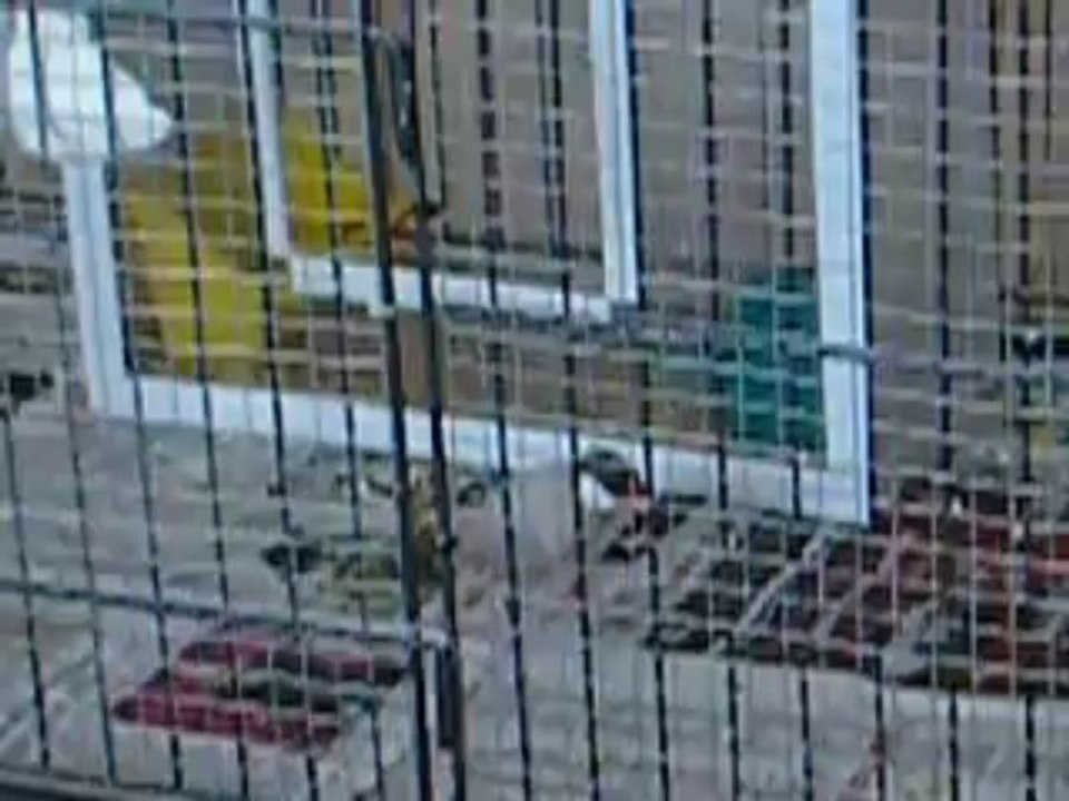 Bali mon petit padda male.