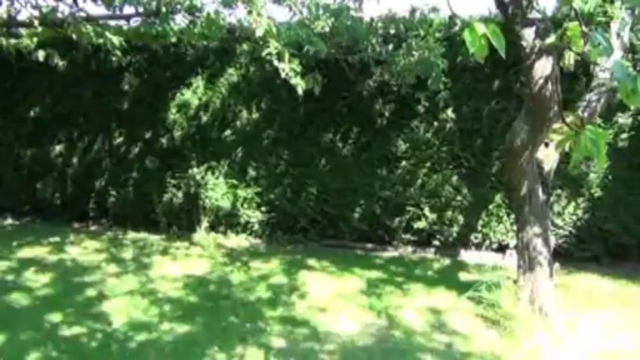 Beire le fort "proche" belle maison individuelle - Agence CARREZ immobilier