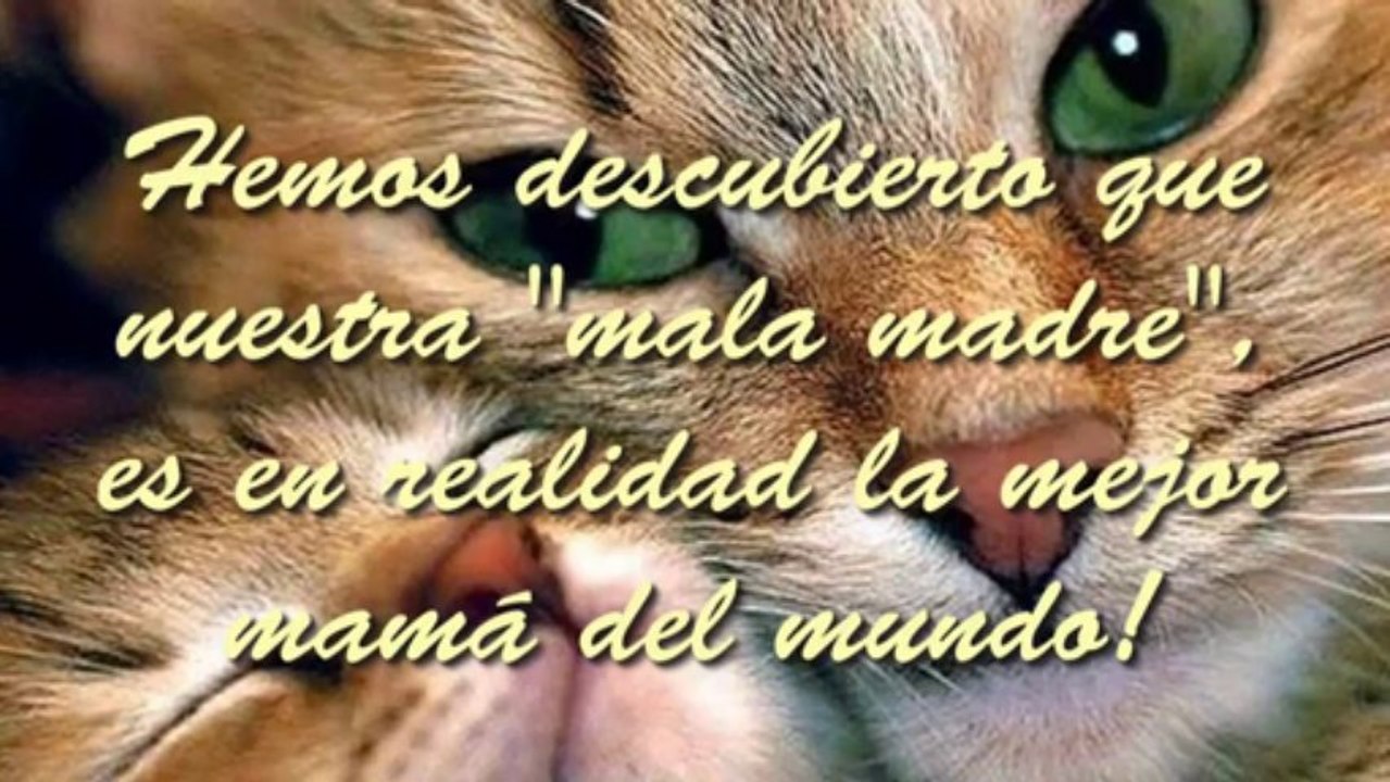 La mama mas mala del mundo - Hermosa reflexion