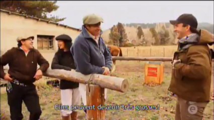 Mordu de la pêche - Patagonie