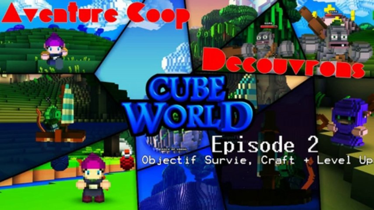 Aventure/Découverte Coop - Cube World #2/3