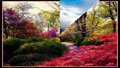 Otono en la Patagonia Argentina (PP) [720p]