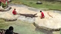 A krokodil nem játék - Sokan nem tudják...