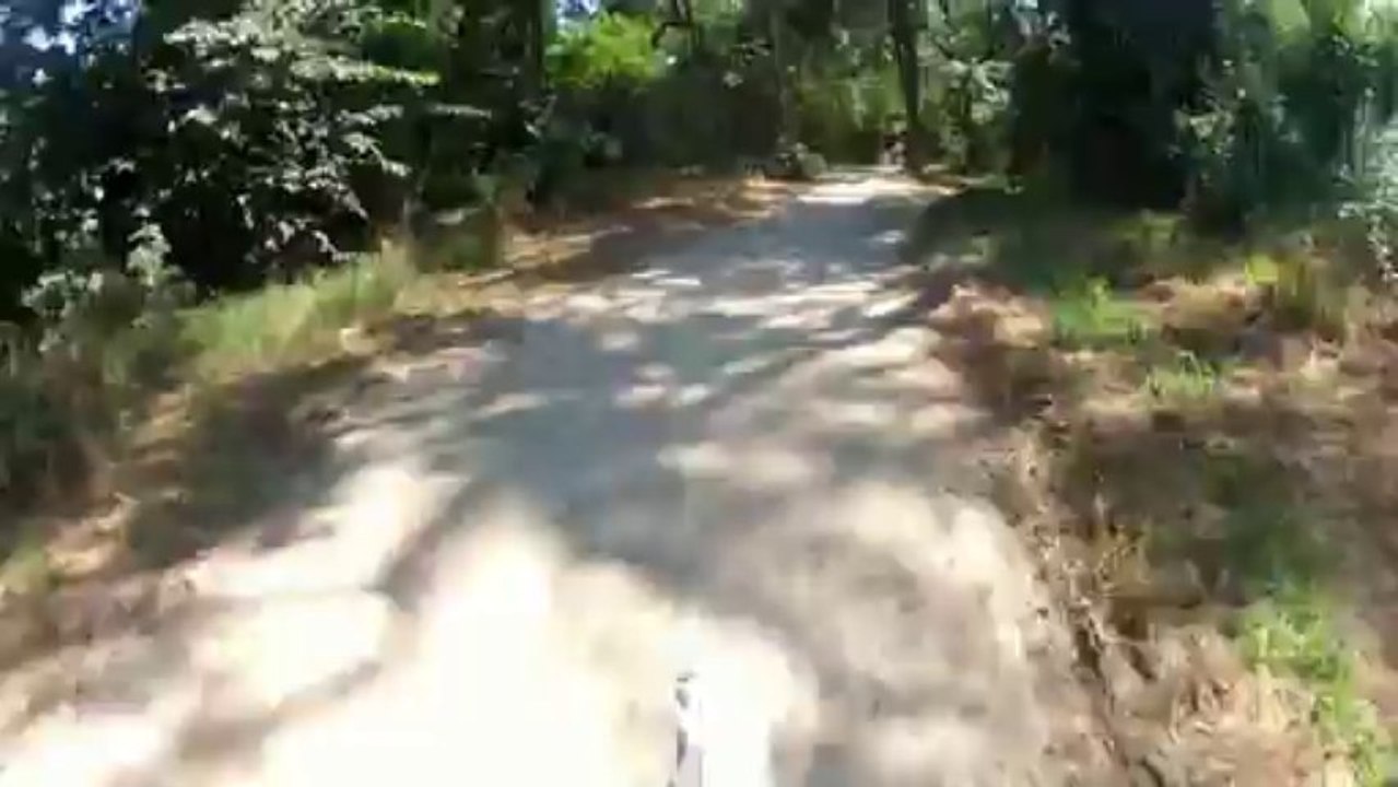 VTT