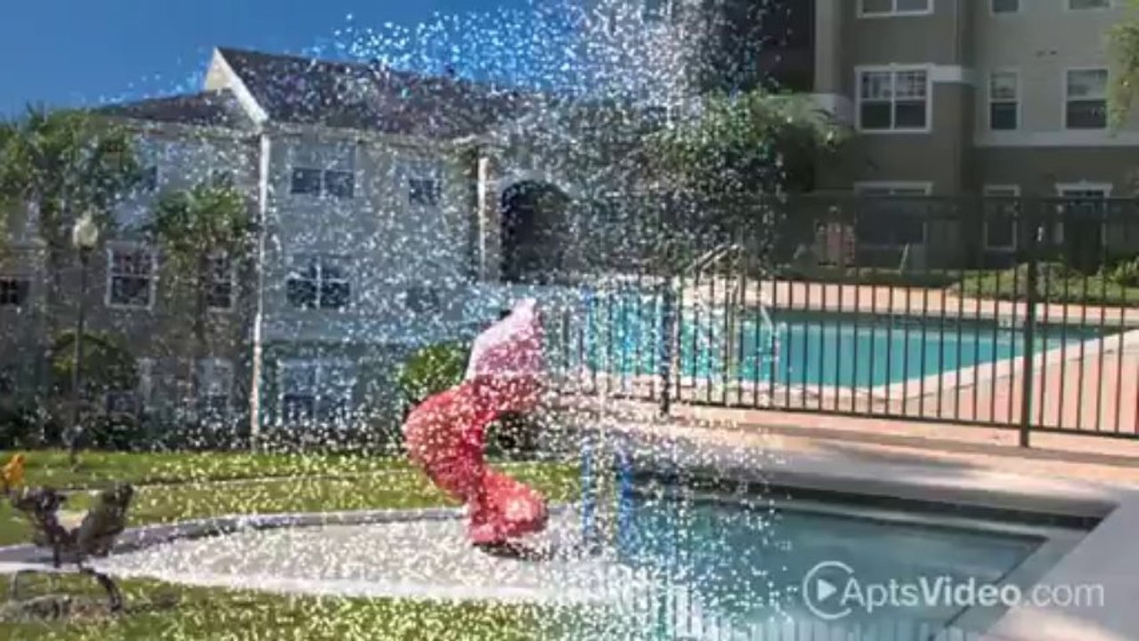 Willow Lake Apartments in Apopka, FL video Dailymotion