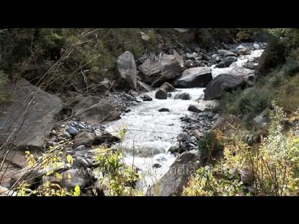 Flowing down the Himalayas: On the Dayara Bugyal Trek