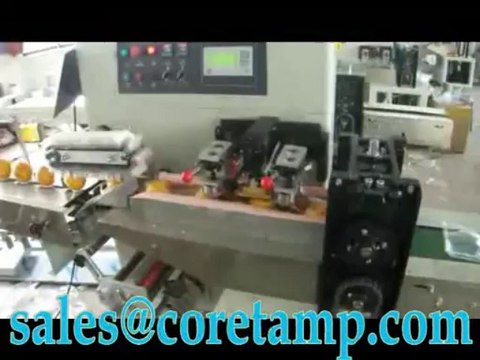 【Orange packaging machine,fruit packing equipment】