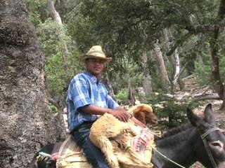 abdelmalek zaouia d'ifrane