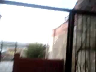 Drahthaar Poyraz Bella yemek adabı-1 :)))