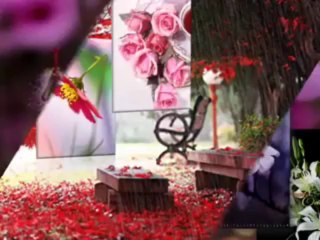 Khali Salam Dua Edit Song DrK