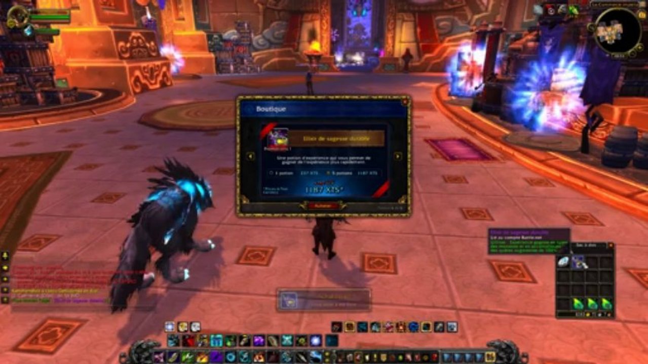 World of Warcraft Item Shop