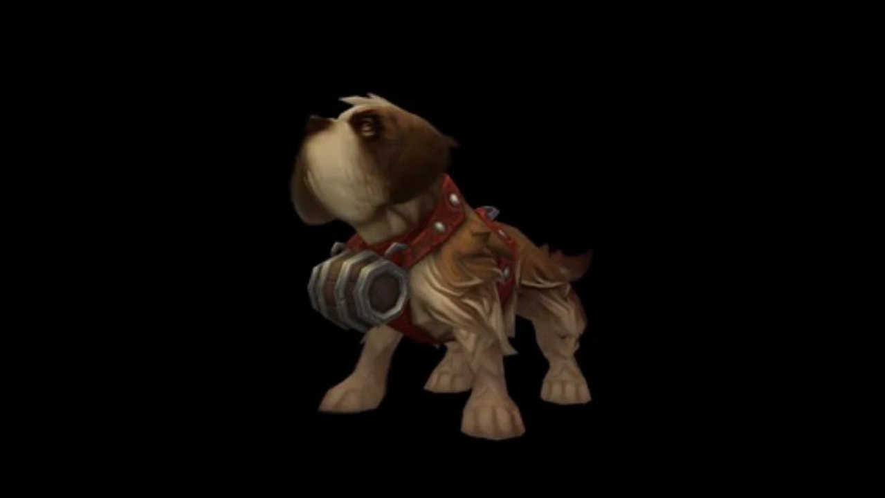 WoW Patch 5.4 : Saint Bernard Dog Pet