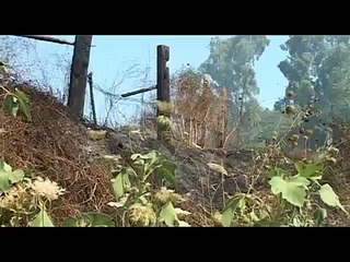 Pozzuoli (NA) - Incendio montagna spaccata -live- (01.08.13)