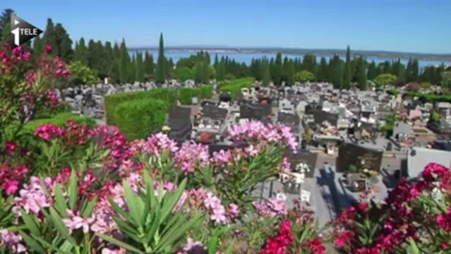 Sète, l'amour de Georges Brassens