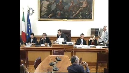 Roma - L'audizione su lavoro portuale temporaneo (01.08.13)