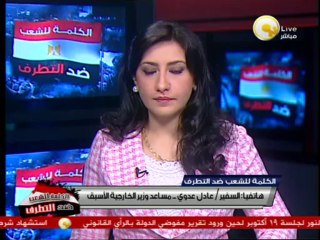 السفير عادل عدوي: العالم بدأ يفهم حقيقة ما حدث لمصر من ثورة جديدة