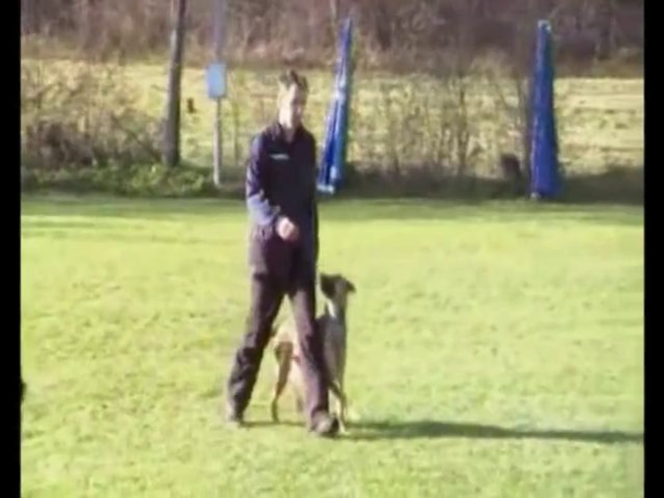 Be Aware Dope @ BH - 17.11.2012